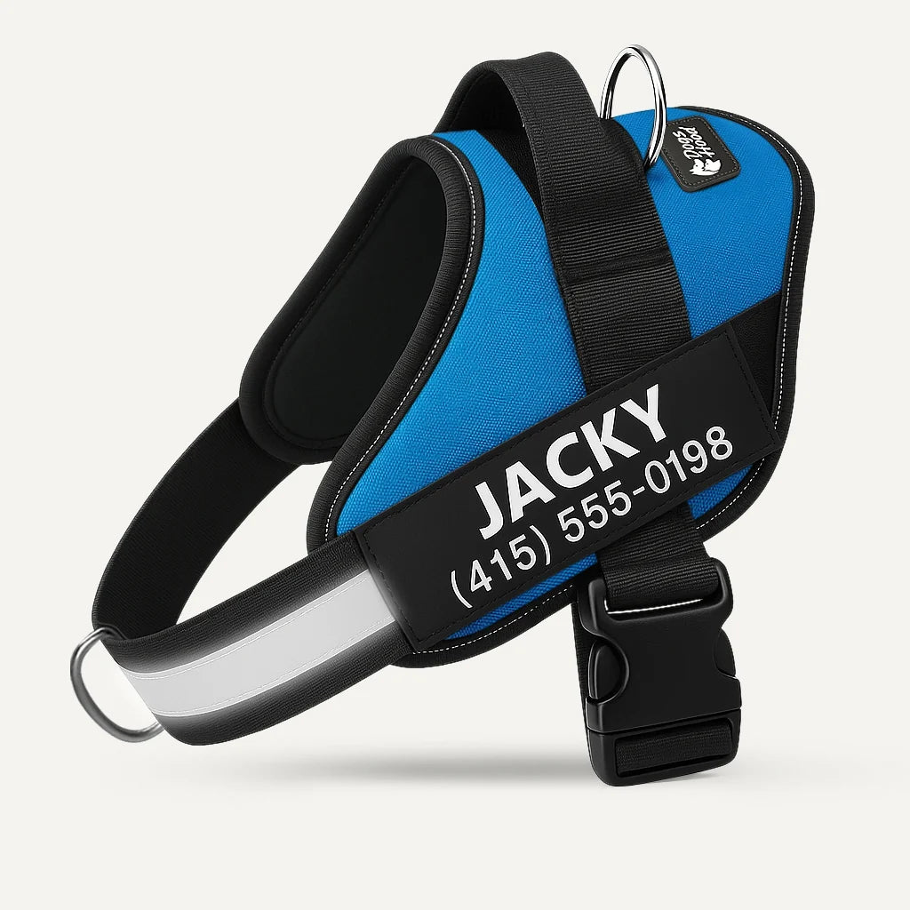 VeraNove™ No Pull Harness