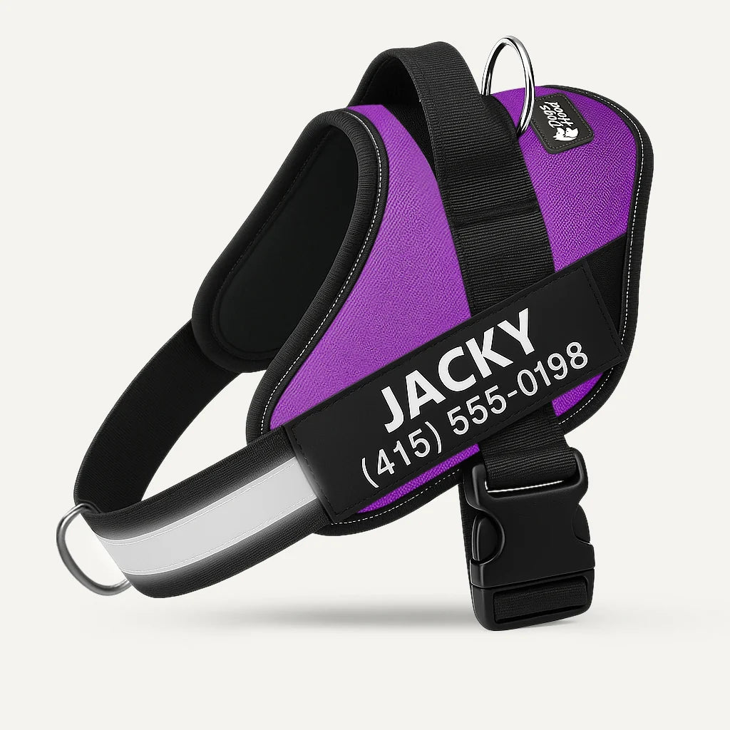 VeraNove™ No Pull Harness