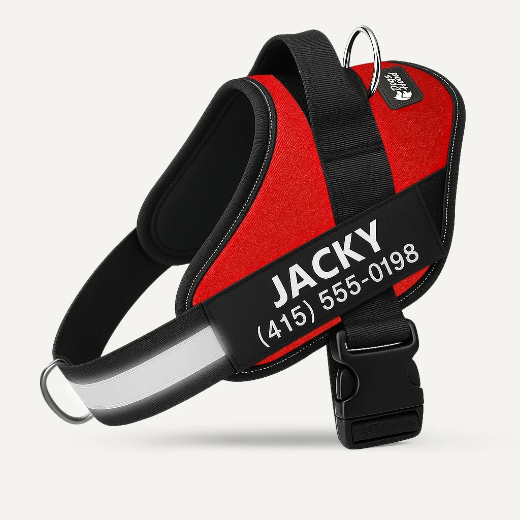 VeraNove™ No Pull Harness
