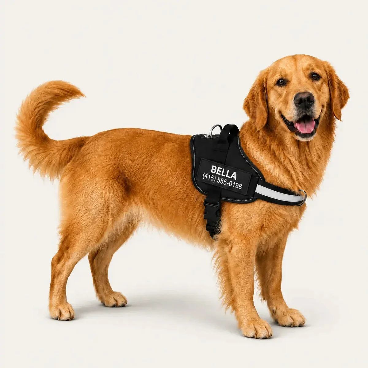 VeraNove™ No Pull Harness